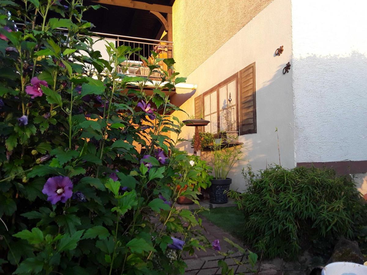 Haus Sonnenblick Apartment Momlingen Luaran gambar